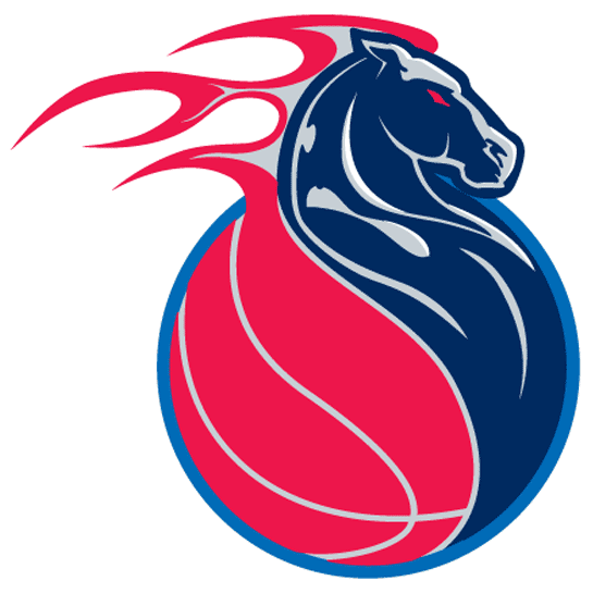 Detroit Pistons 2001-2005 Alternate Logo fabric transfer version 2